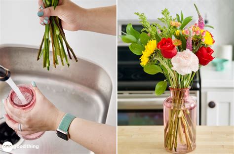 does baking soda make flowers last longer: Exploring Unconventional Tips for Extending the Life of Cut Flowers