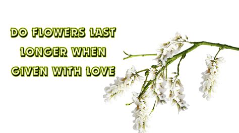 flowers last longer when given with love how do we express our love in writing?