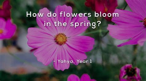 how much water for flowers in vase: How does the color of flowers affect the choice of vase?