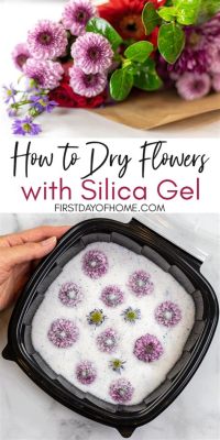 how to use silica gel to dry flowers how to effectively utilize silica gel for preserving delicate blooms